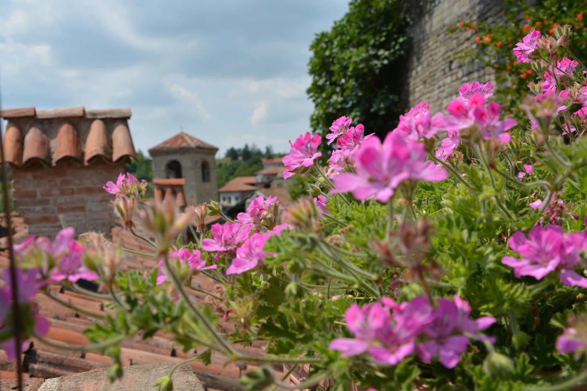 Cerretto Langhe Dimora Storico Romantica Il Sole E La Luna מראה חיצוני תמונה